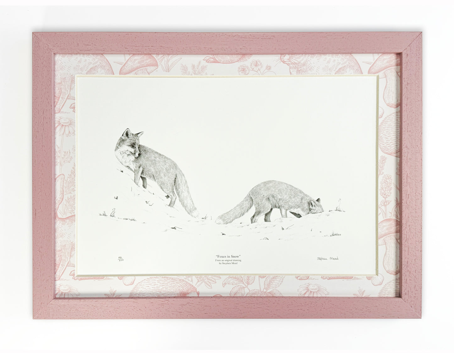 Limited Edition Art Print "Badgers" with Beautiful Printed Mount & Painted Wood Frame